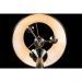 Торшер Arte Lamp A3579PN-3AB