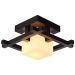 Потолочный светильник Arte Lamp A8252PL-1CK 95