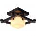 Потолочный светильник Arte Lamp A8252PL-1CK 95