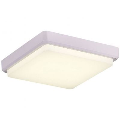 Светильник потолочный Evoluce SLE200212-01