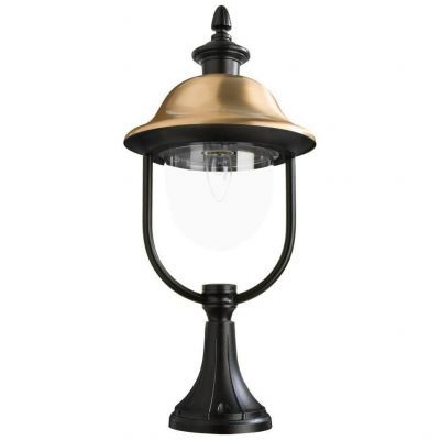 Светильник Arte Lamp A1484FN-1BK