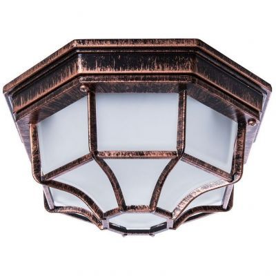 Уличный светильник Arte Lamp Pegasus A3100PL-1AC