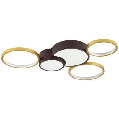 Потолочный светодиодный светильник Lumion Norbert 5255/80CL
