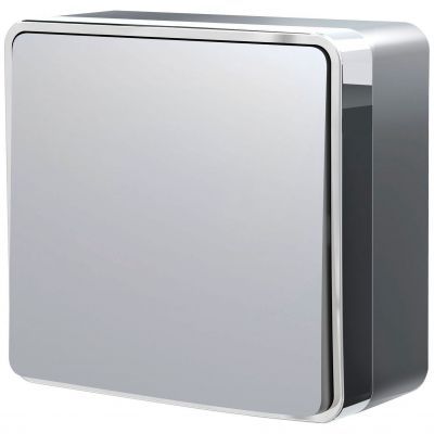 Выключатель одноклавишный Gallant серебряный Werkel W5010006
