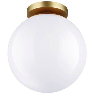Потолочный светильник Odeon Light Bosco 4248/1C