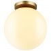 Потолочный светильник Odeon Light Bosco 4248/1C