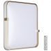 Настенно-потолочный светодиодный светильник Sonex Pale Olidi White 7680/EL