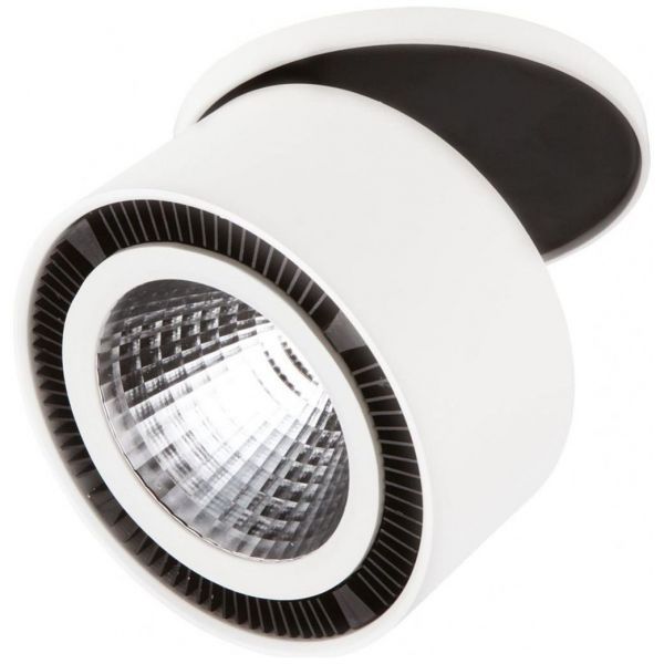 Светодиодный спот Lightstar 213806 Forte Inca