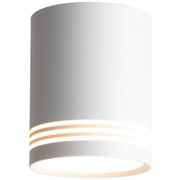 Светильник потолочный ST Luce ST101.502.12