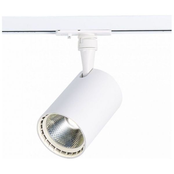 Трековый светильник ST Luce ST351.546.20.24