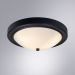 Потолочный светильник Arte Lamp James A4049PL-3BK