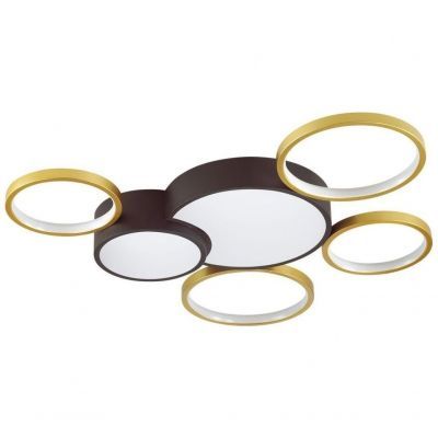 Потолочный светодиодный светильник Lumion Norbert 5255/99CL