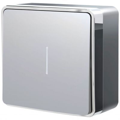 Выключатель одноклавишный с подсветкой Gallant серебряный Werkel W5010106
