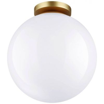 Потолочный светильник Odeon Light Bosco 4249/1C