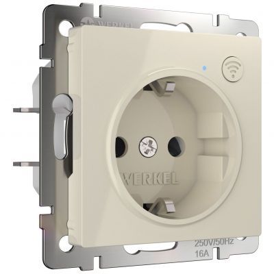 Розетка Wi-Fi (слоновая кость) Werkel W1171603