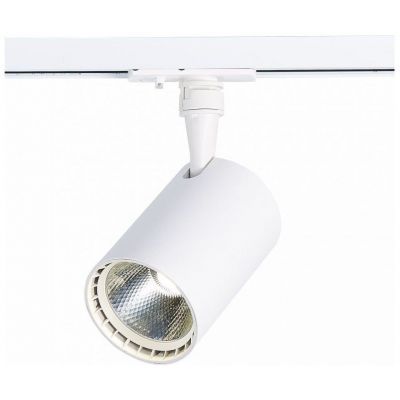 Трековый светильник ST Luce ST351.546.20.36