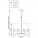 Подвесная люстра Lightstar Flume 723065