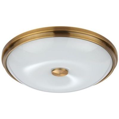 Потолочный светильник Odeon Light Pelow 4956/4