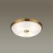 Потолочный светильник Odeon Light Pelow 4956/4