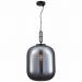 Светильник подвесной ST Luce SL1050.713.01
