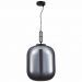 Светильник подвесной ST Luce SL1050.713.01