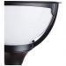 Светильник Arte Lamp A1496PA-1BK
