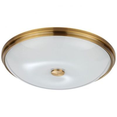 Потолочный светильник Odeon Light Pelow 4956/5