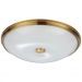 Потолочный светильник Odeon Light Pelow 4956/5
