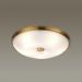 Потолочный светильник Odeon Light Pelow 4956/5