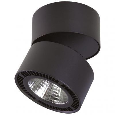 Светодиодный спот Lightstar 213817 Forte Muro