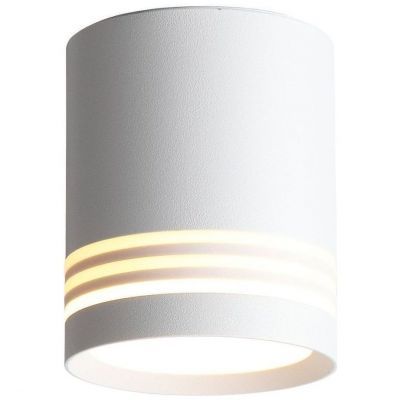 Светильник потолочный ST Luce ST101.542.05