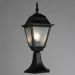 Светильник Arte Lamp A1014FN-1BK