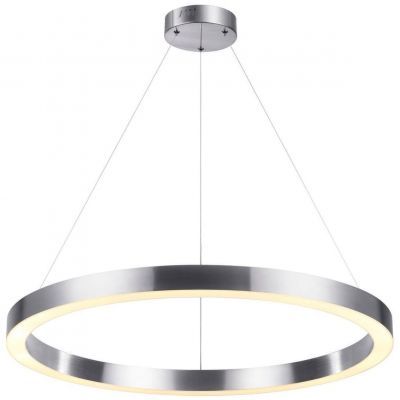 Подвесной светодиодный светильник Odeon Light Brizzi 4244/45L
