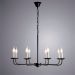 Подвесная люстра Arte Lamp Graff A1857LM-8BK