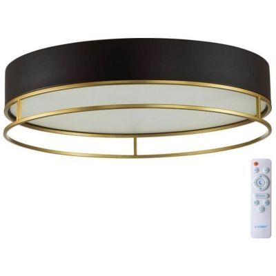 Потолочный светодиодный светильник Sonex Avra Lofty 7723/65L