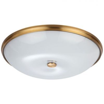 Потолочный светильник Odeon Light Pelow 4956/6