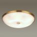 Потолочный светильник Odeon Light Pelow 4956/6