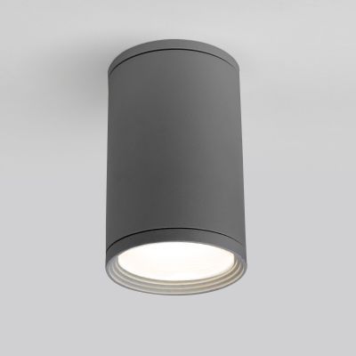 Уличный потолочный светильник Light 2101 IP65 Elektrostandard 35128/H серый