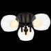 Светильник потолочный ST Luce SL1483.402.03