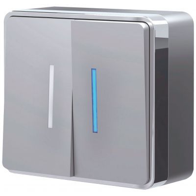 Выключатель двухклавишный с подсветкой Gallant серебряный Werkel W5020106