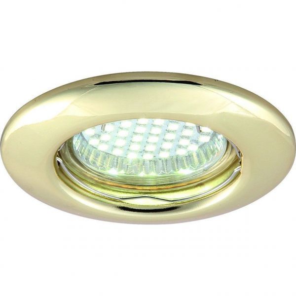 Точечный светильник Arte Lamp A1203PL-1GO