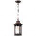 Уличный подвесной светильник Odeon Light Mavret 4961/1