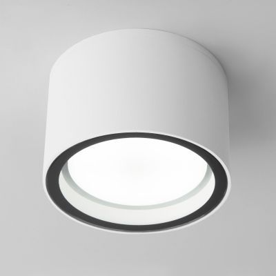 Уличный потолочный светильник Light 26231 IP54 Elektrostandard 35144/H белый