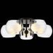 Светильник потолочный ST Luce SL1483.402.05