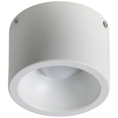 Потолочный светильник Favourite 1991-1C Reflector