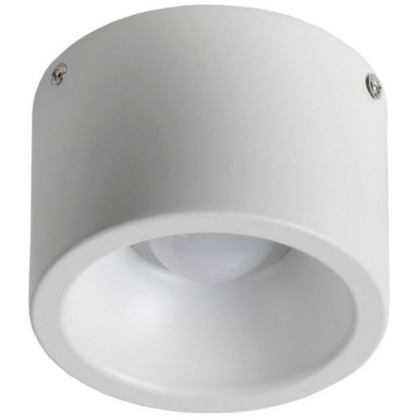 Потолочный светильник Favourite 1991-1C Reflector