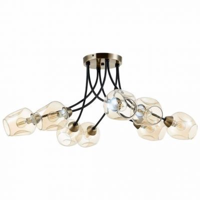 Потолочная люстра Evoluce Besano SLE205302-08