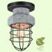 Потолочный светильник Lussole Loft Commack GRLSP-9701