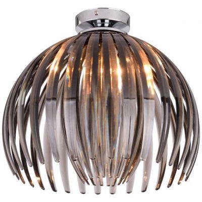 Потолочный светильник Lussole Lgo GRLSP-9539