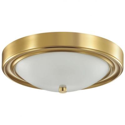 Настенно-потолочный светильник Lumion Nina 5259/2C